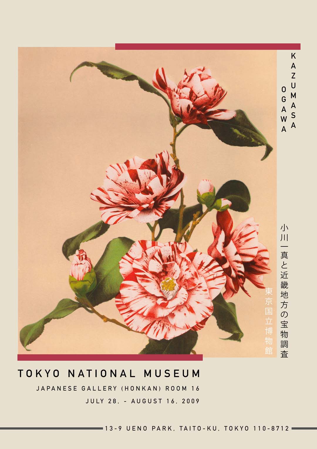 Striped Camellias by Kazumasa Exhibition
