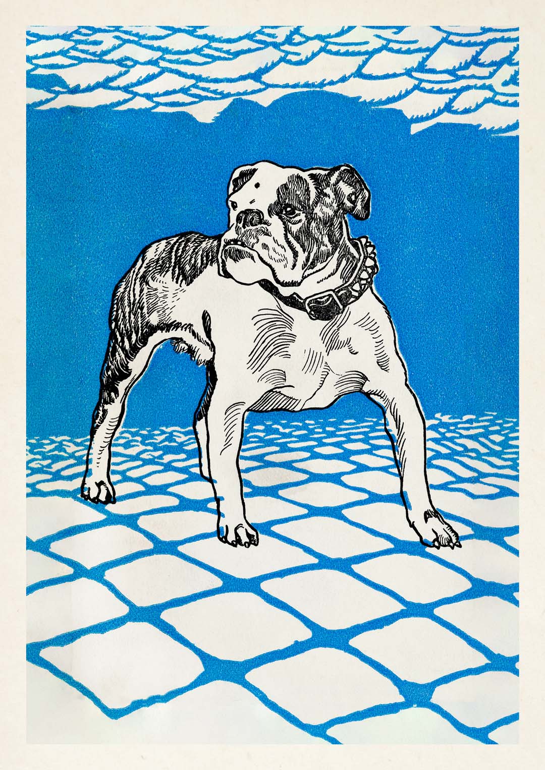 Bulldog by Moritz Jung