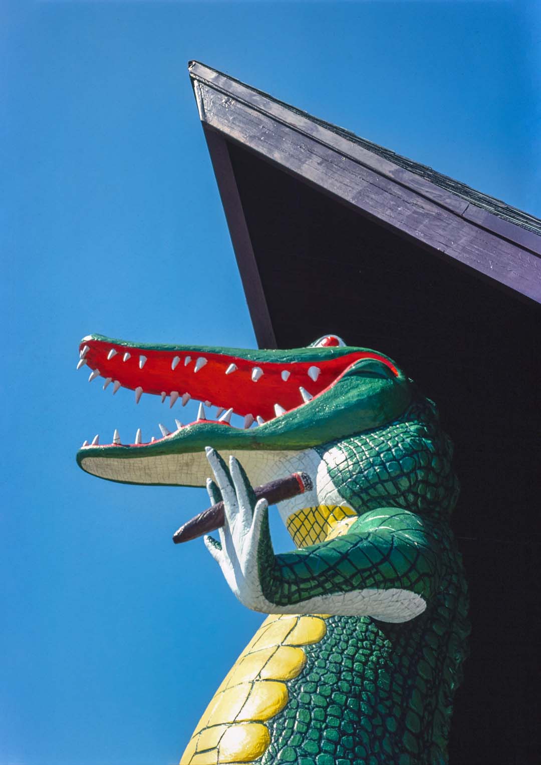Gatorland Zoo alligator statue, Route 1, St. Augustine, Florida by John Margolies