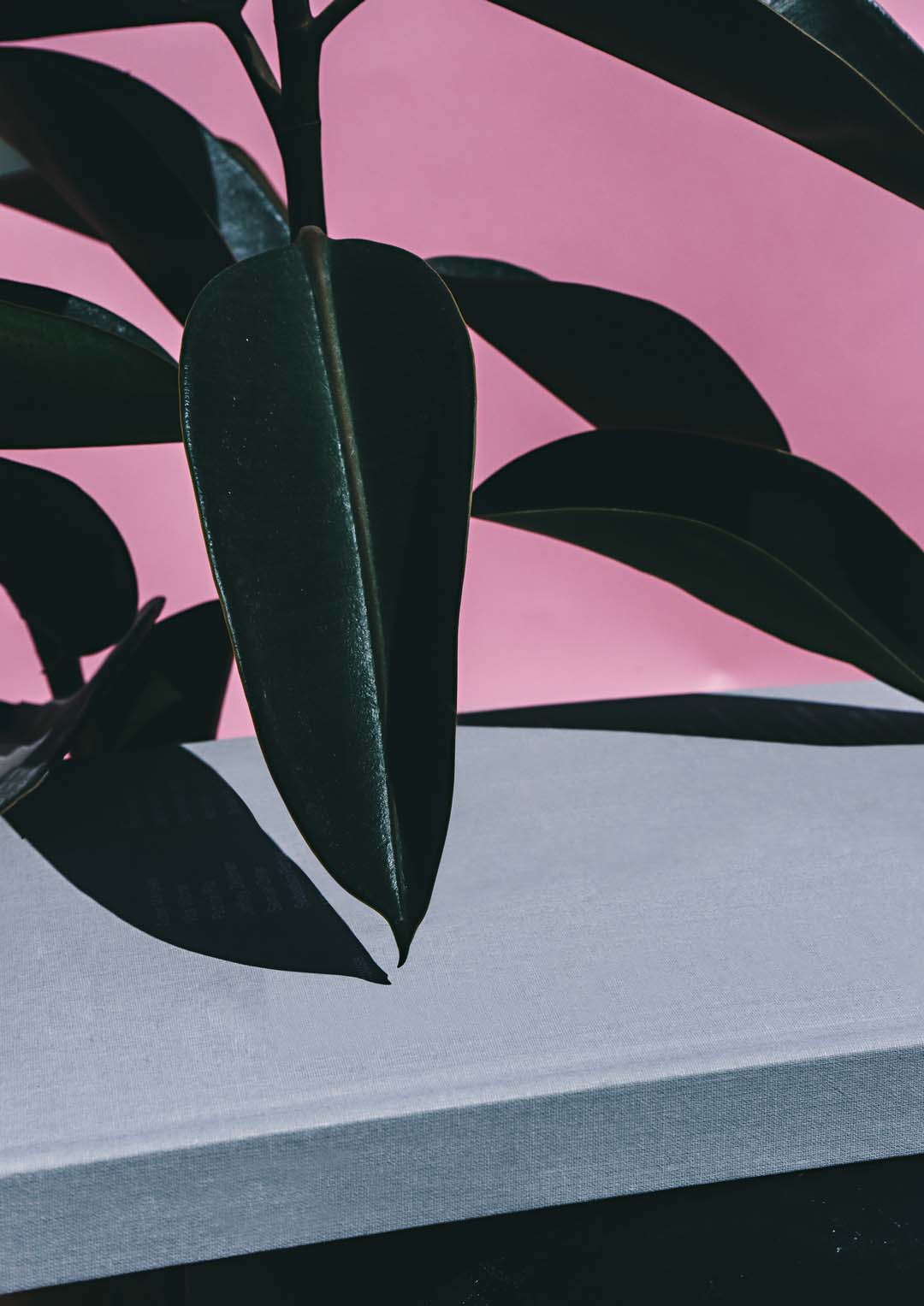 Close Up of Indoor Rubber