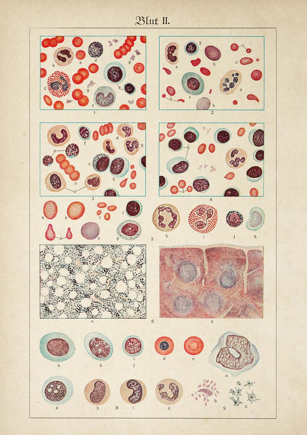 Antique Blood Cells