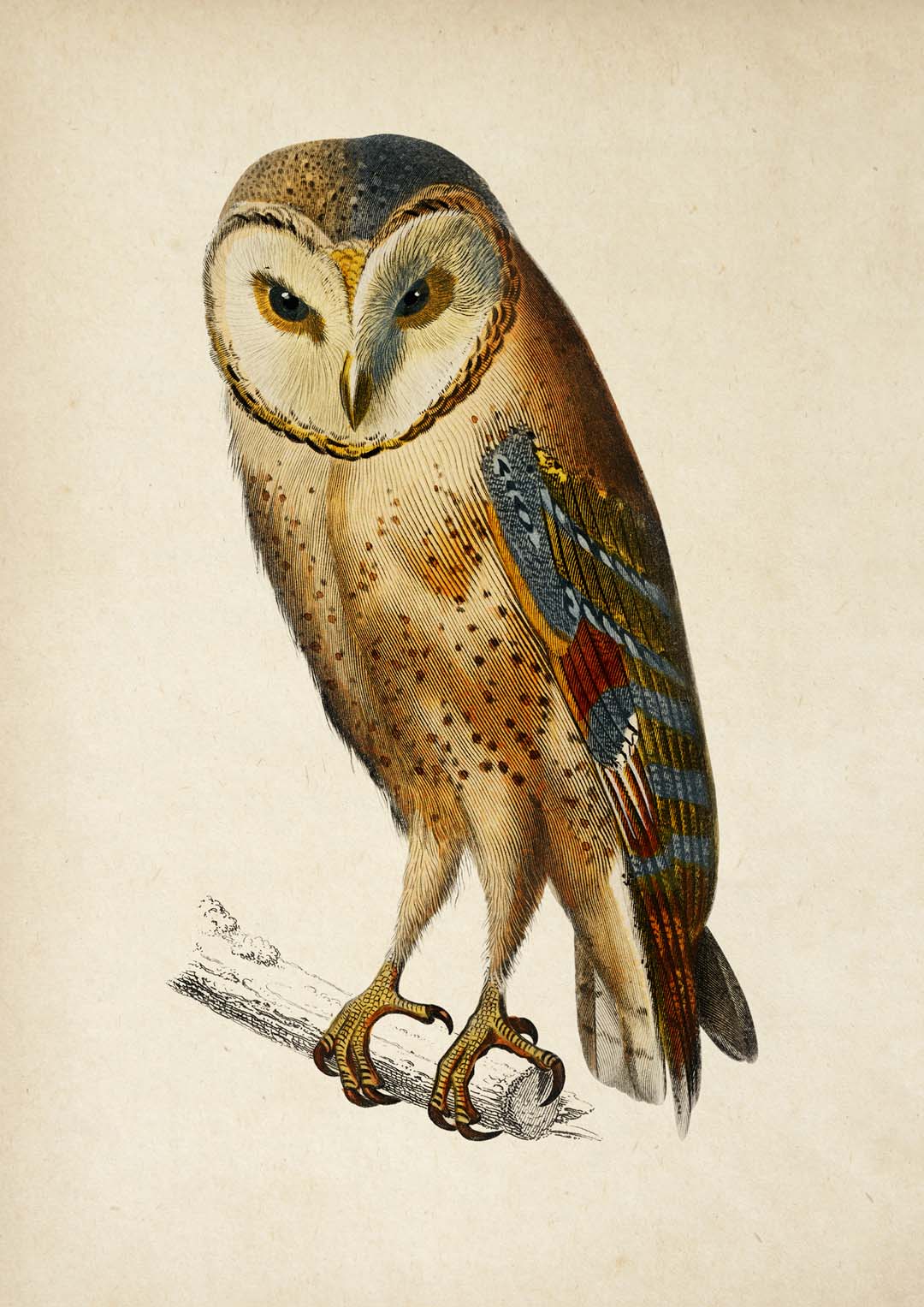 Antique Owl