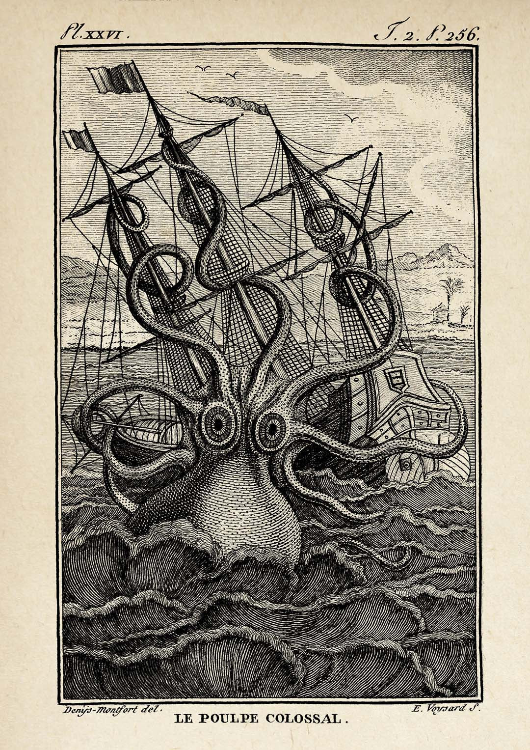 Le Poulpe Colossal