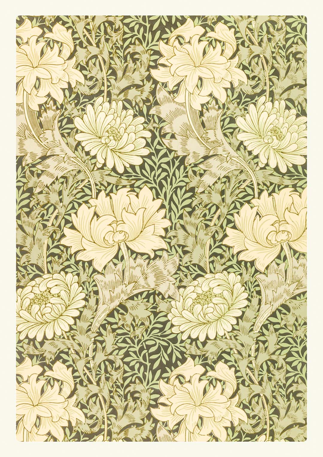 William Morris Chrysanthemum Pattern