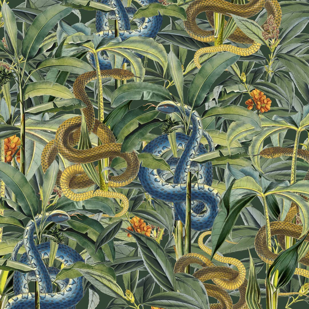 Paradise Lost by Andrea Haase