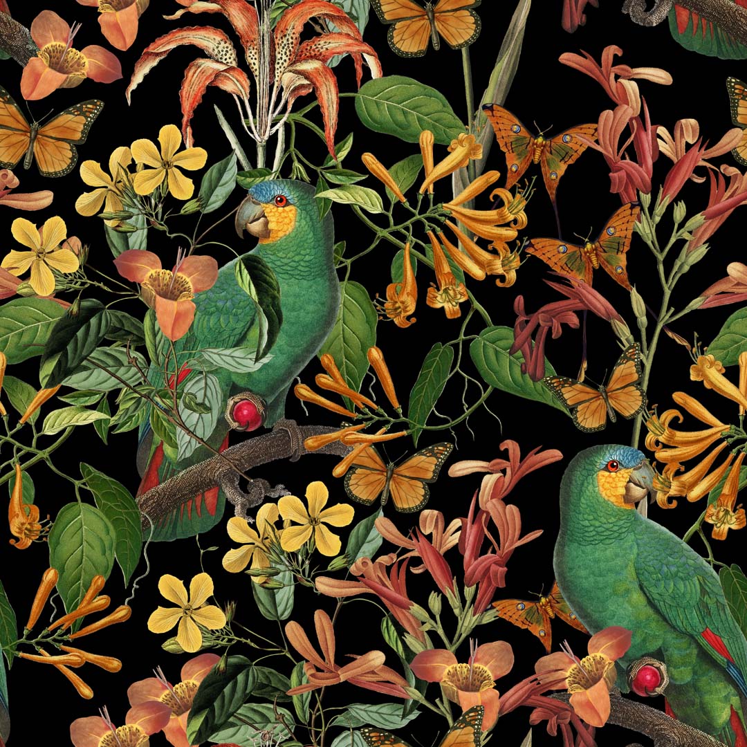 Tropical Parrots Black by Andrea Haase