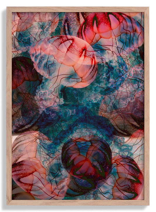 Under the Surface Jellyfish by Julia Charlott