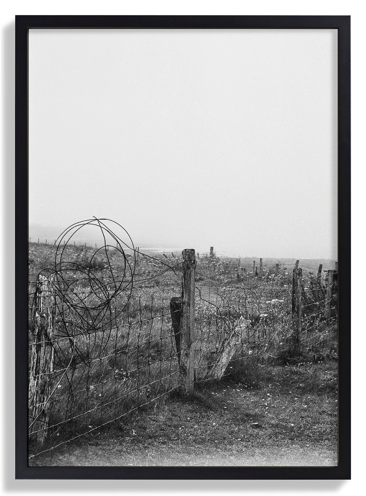 Black Frame