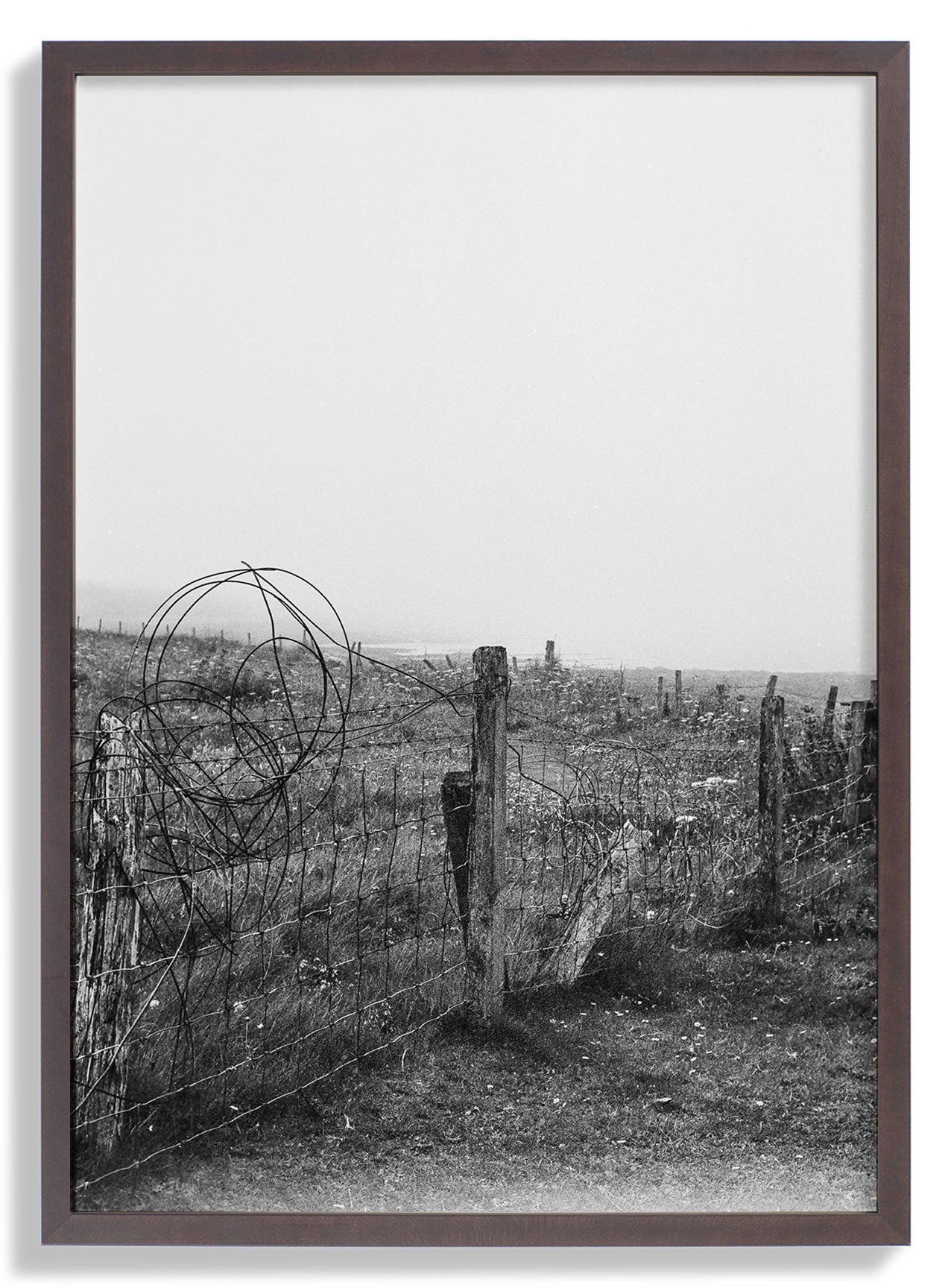 Brown Frame