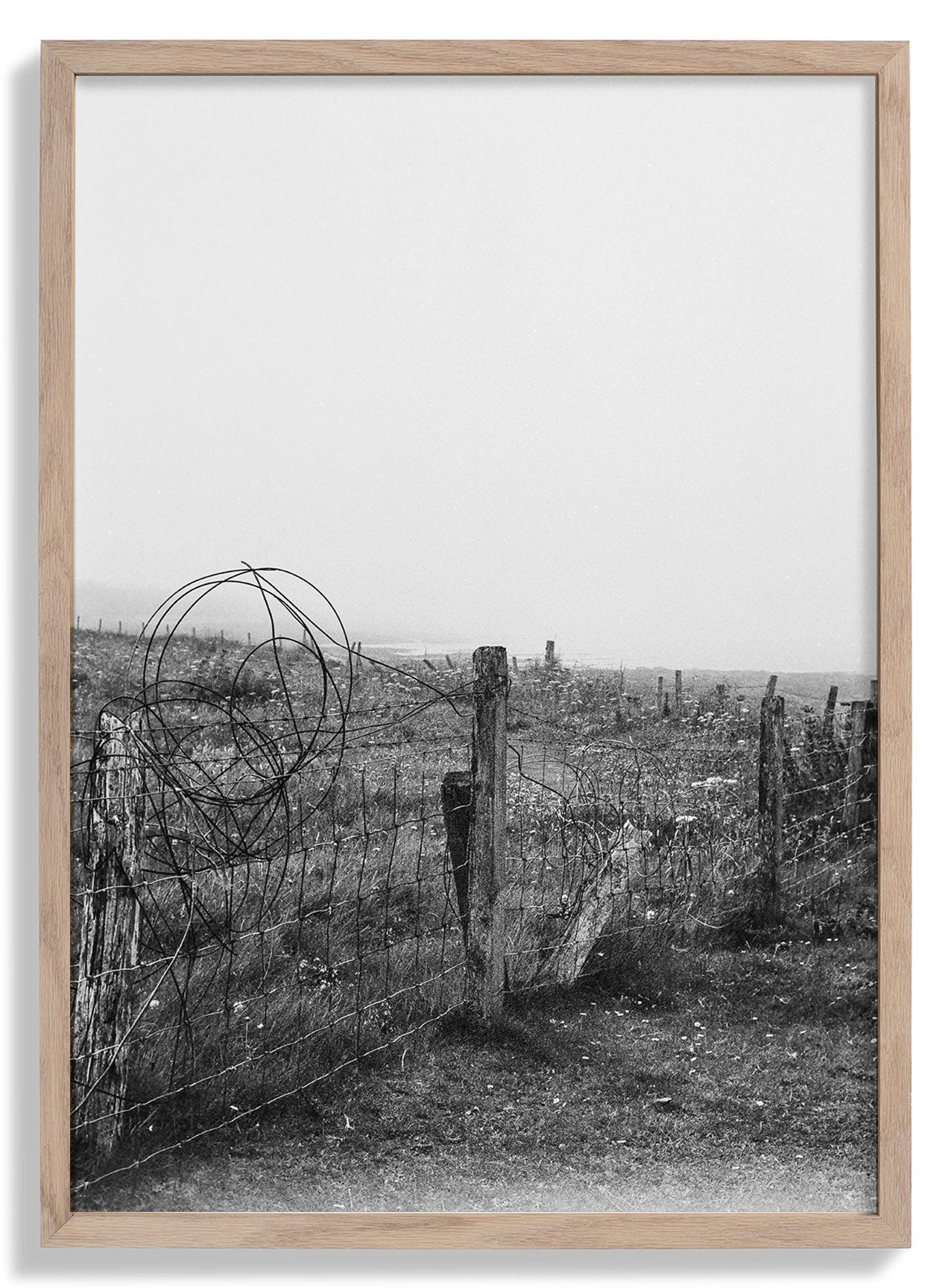 Oak Frame