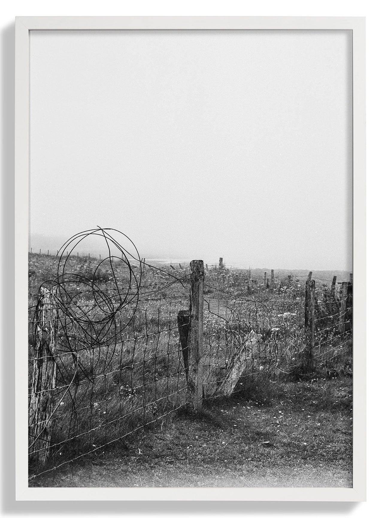 White Frame