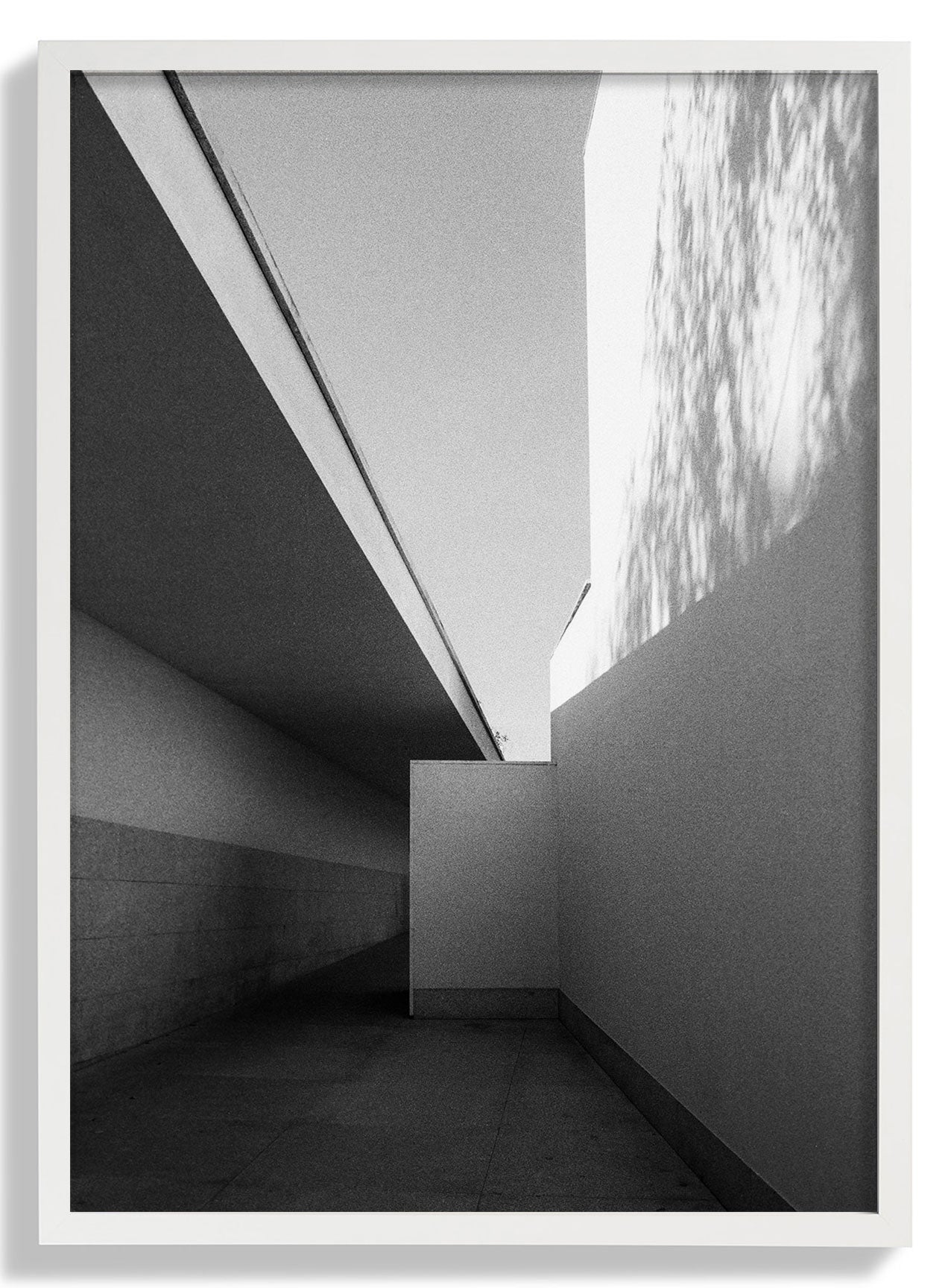 White Frame