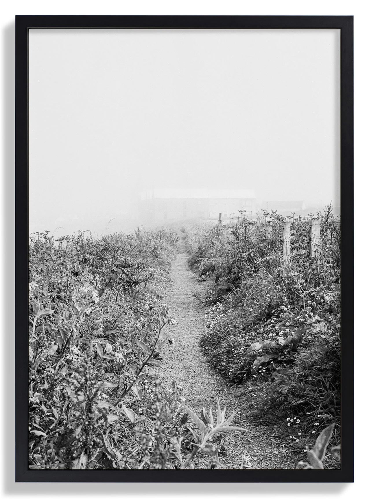 Black Frame