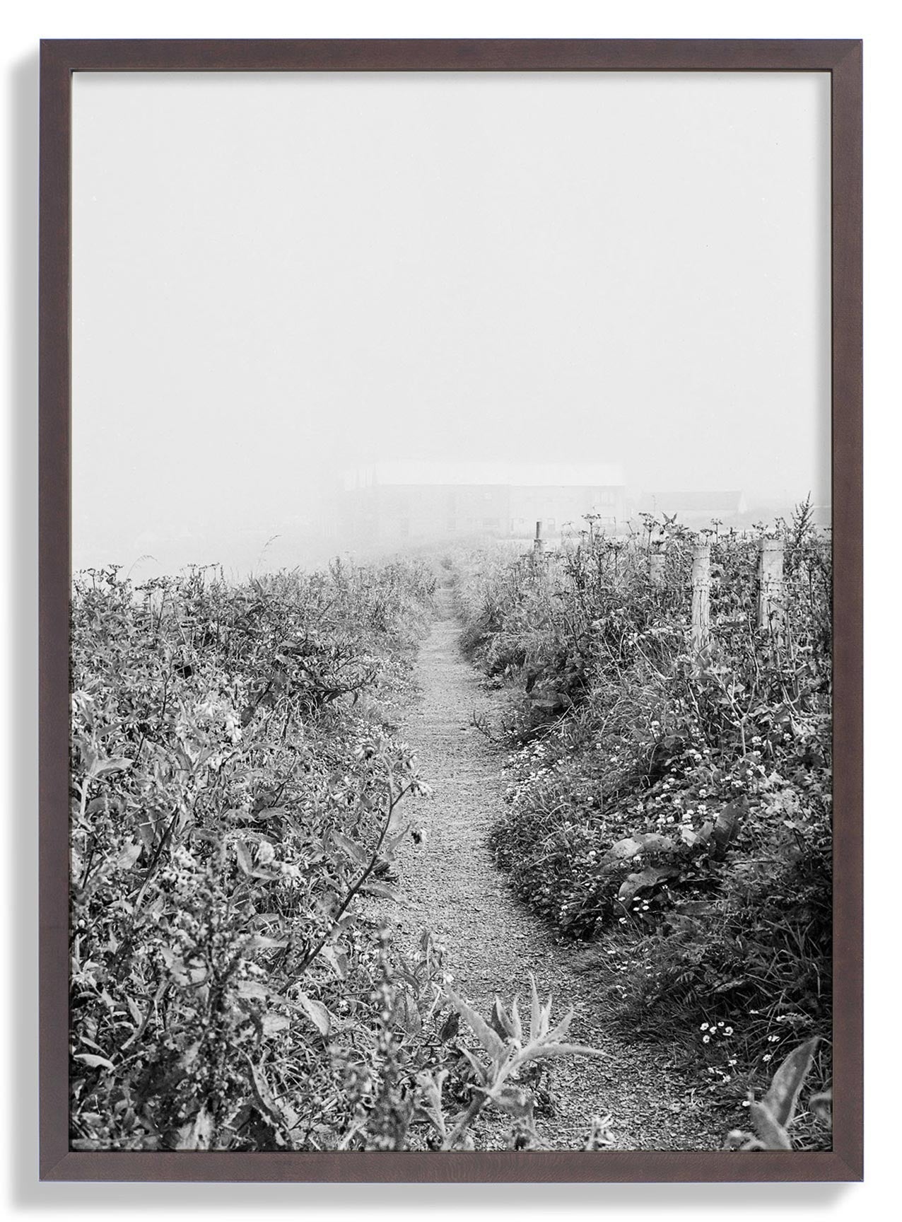Brown Frame