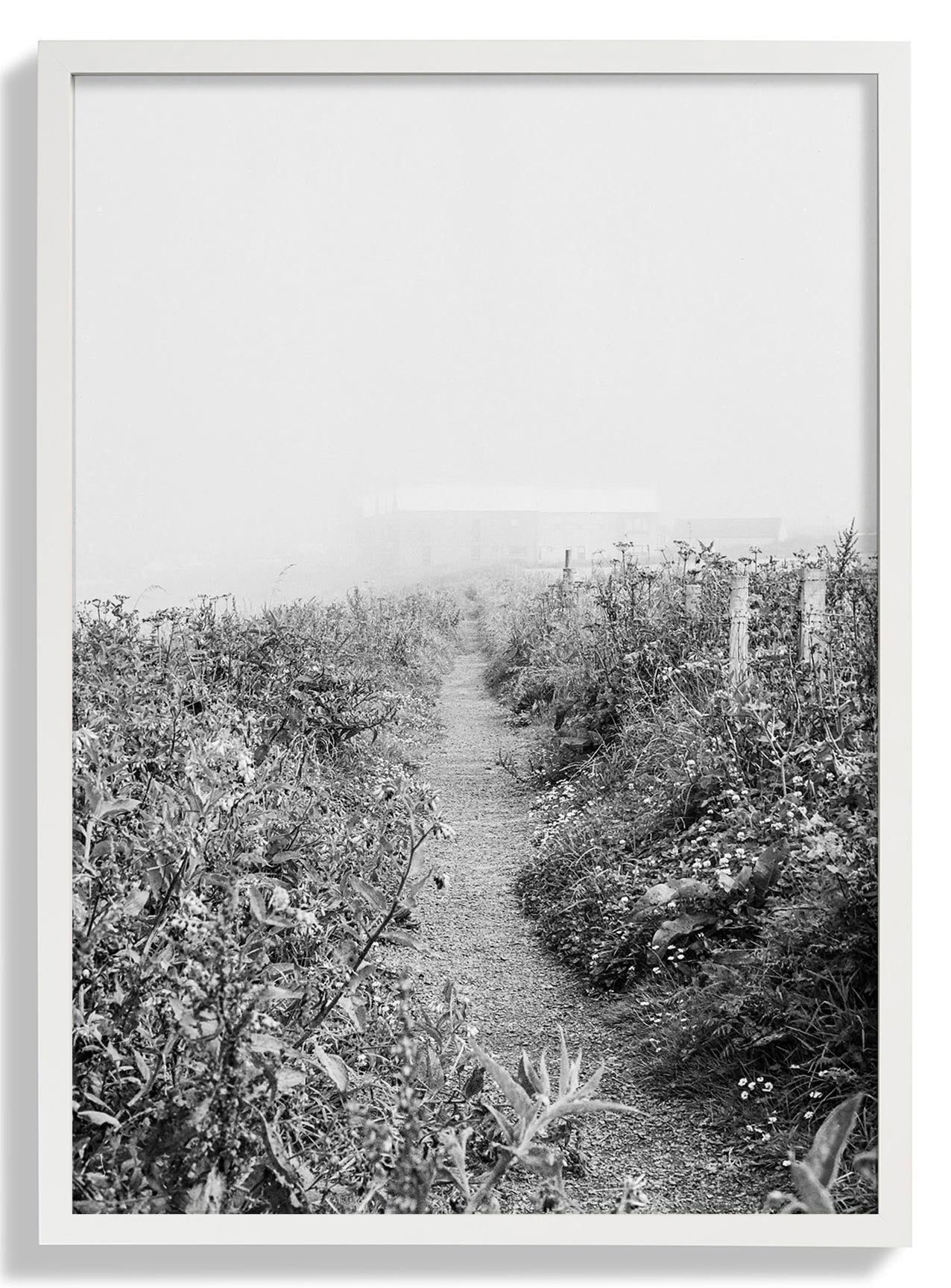 White Frame