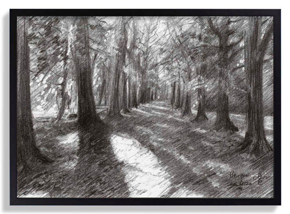 Bergen - 10-04-20 von Corné Akkers