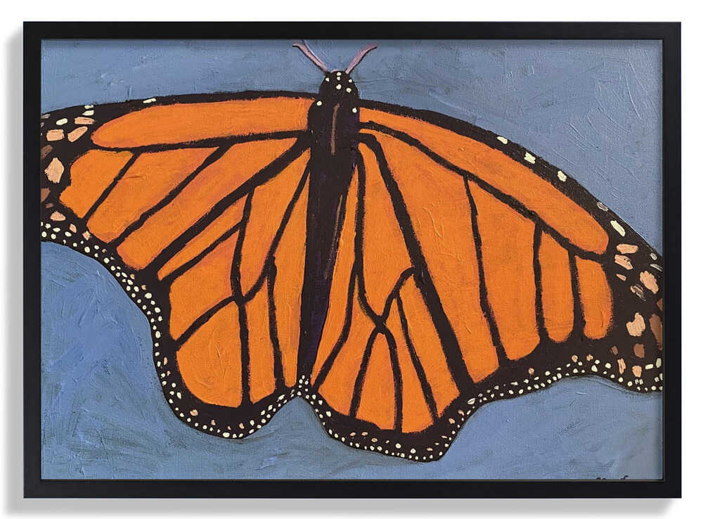 Schmetterling von Sue Graef