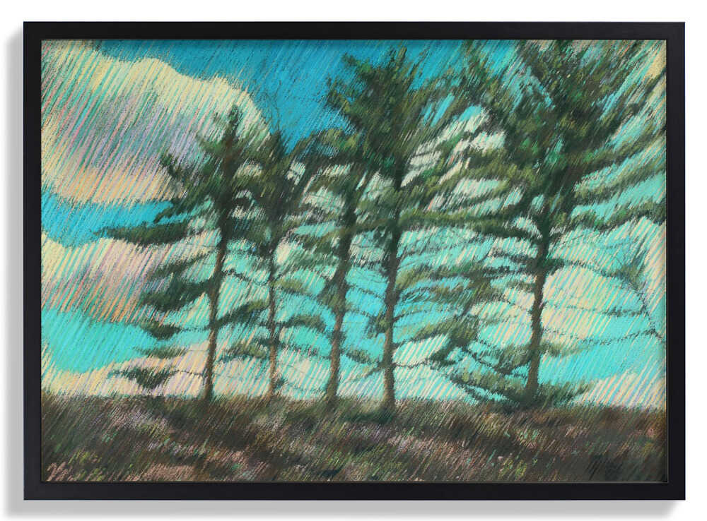 Hatertse Vennen (Hatert Meres) 01 (2012) by Corné Akkers