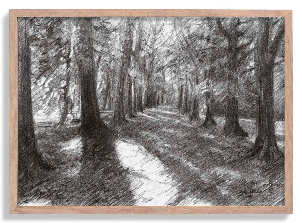 Bergen - 10-04-20 von Corné Akkers