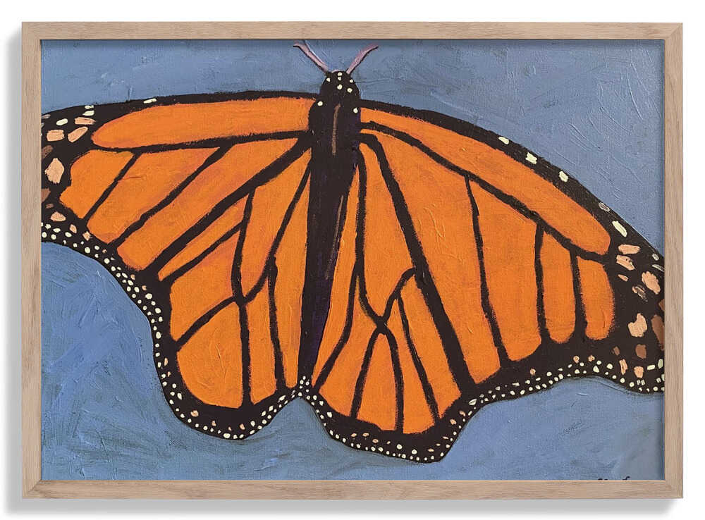 Schmetterling von Sue Graef