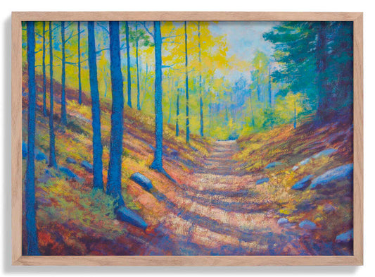 Morgenlicht von Matt Dominger