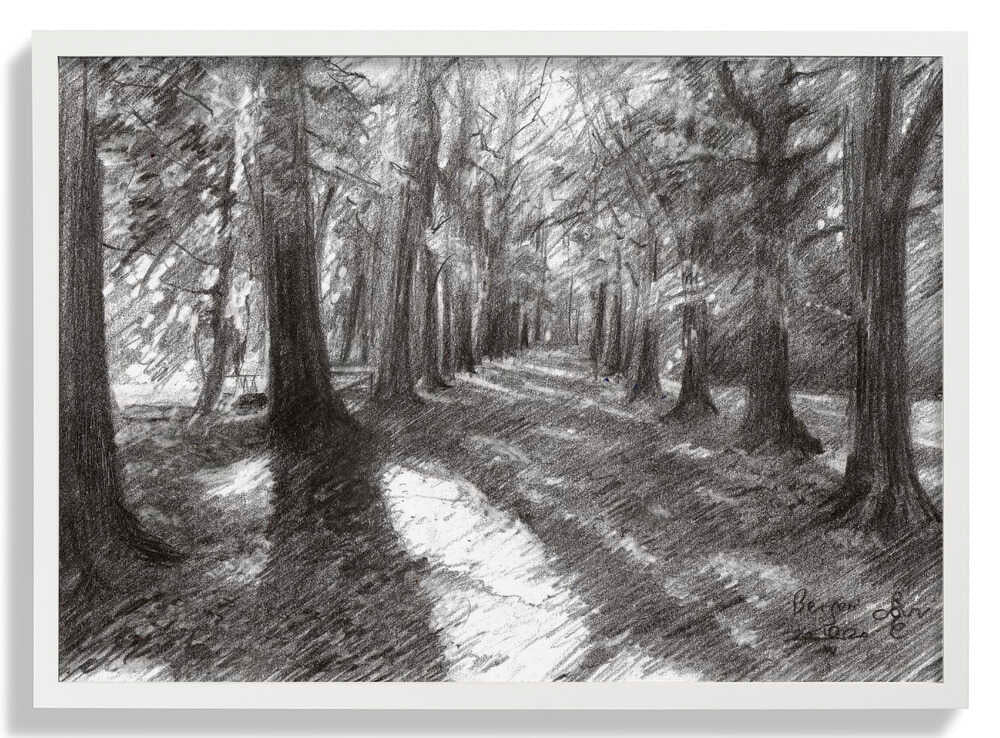 Bergen - 10-04-20 von Corné Akkers