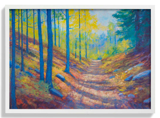 Morgenlicht von Matt Dominger