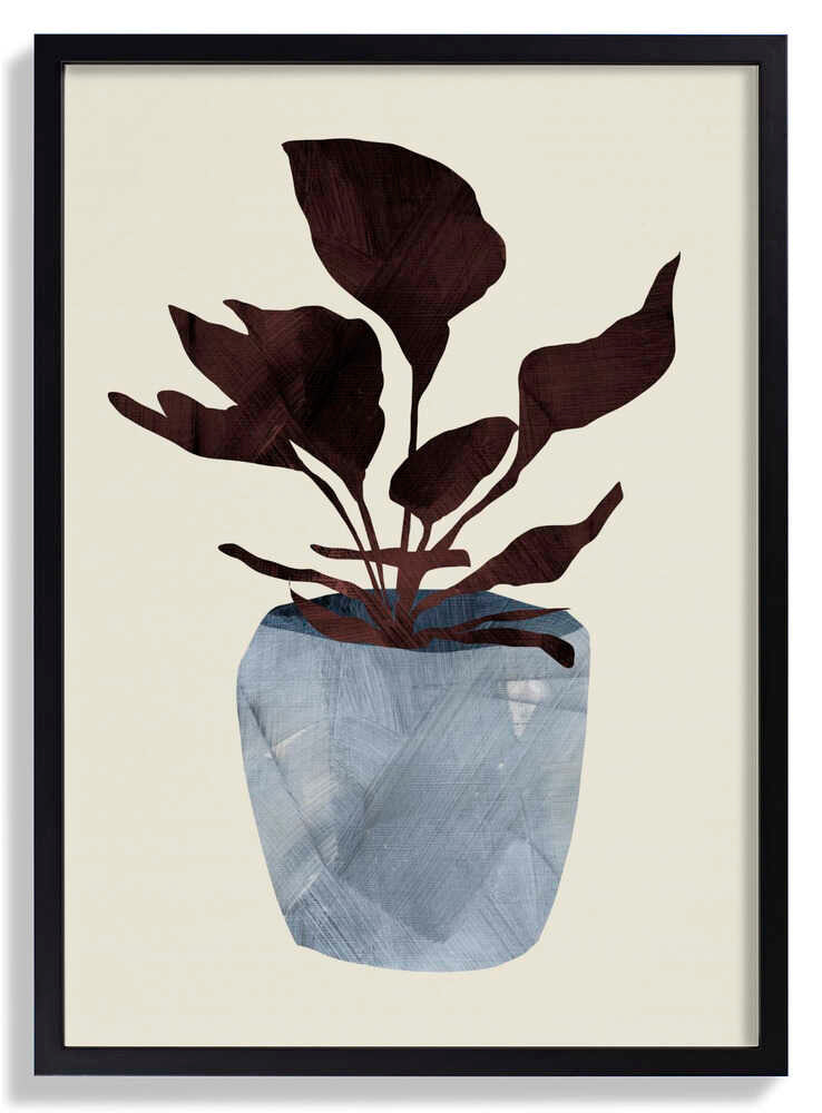 Country Plant by Dan Hobday