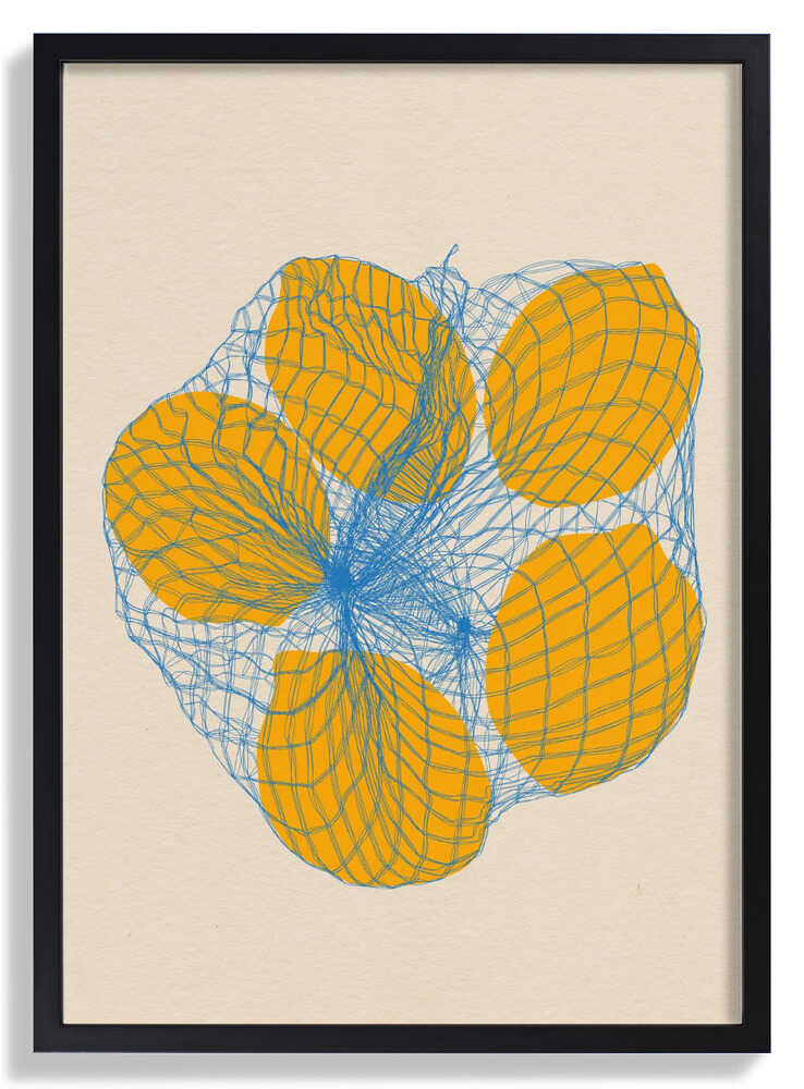 Five Lemons In a Net Bag by Rosi Feist