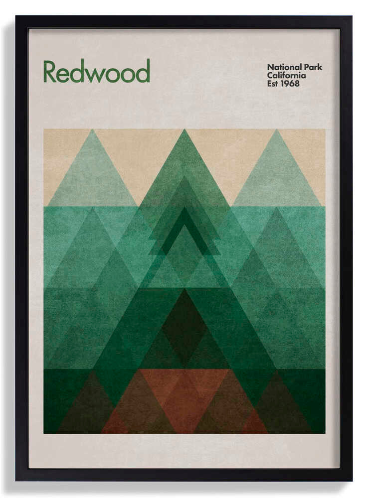 Triangular Redwood by Emel Tunaboylu