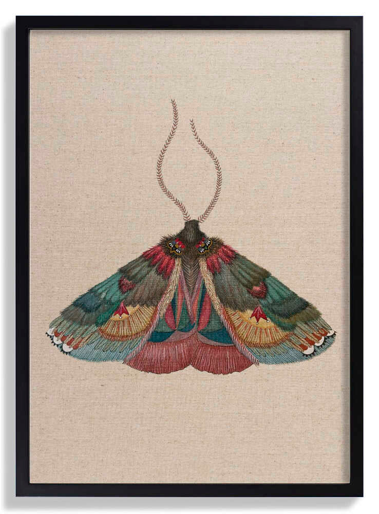 Zrmoth20 Print 70x100 Copyxx by ZAM.ROD