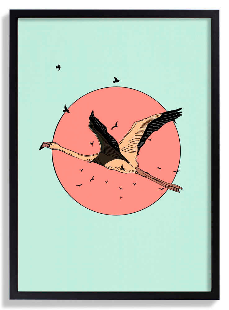 Flamingo In Flight by Nicholas