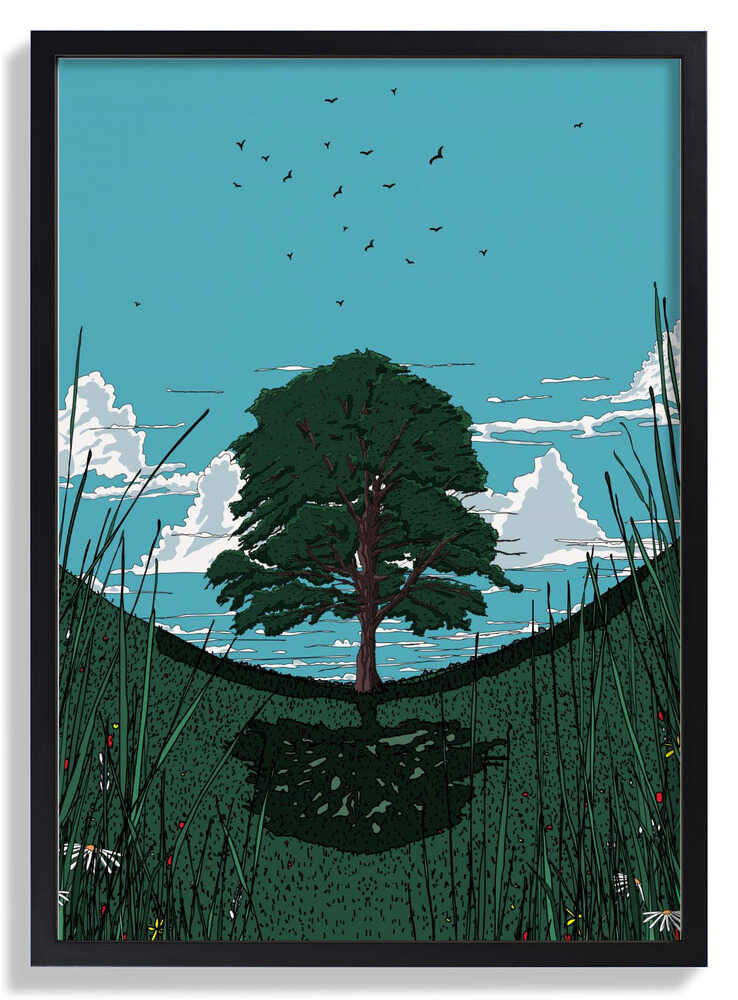 Platanenbaum von Nicholas