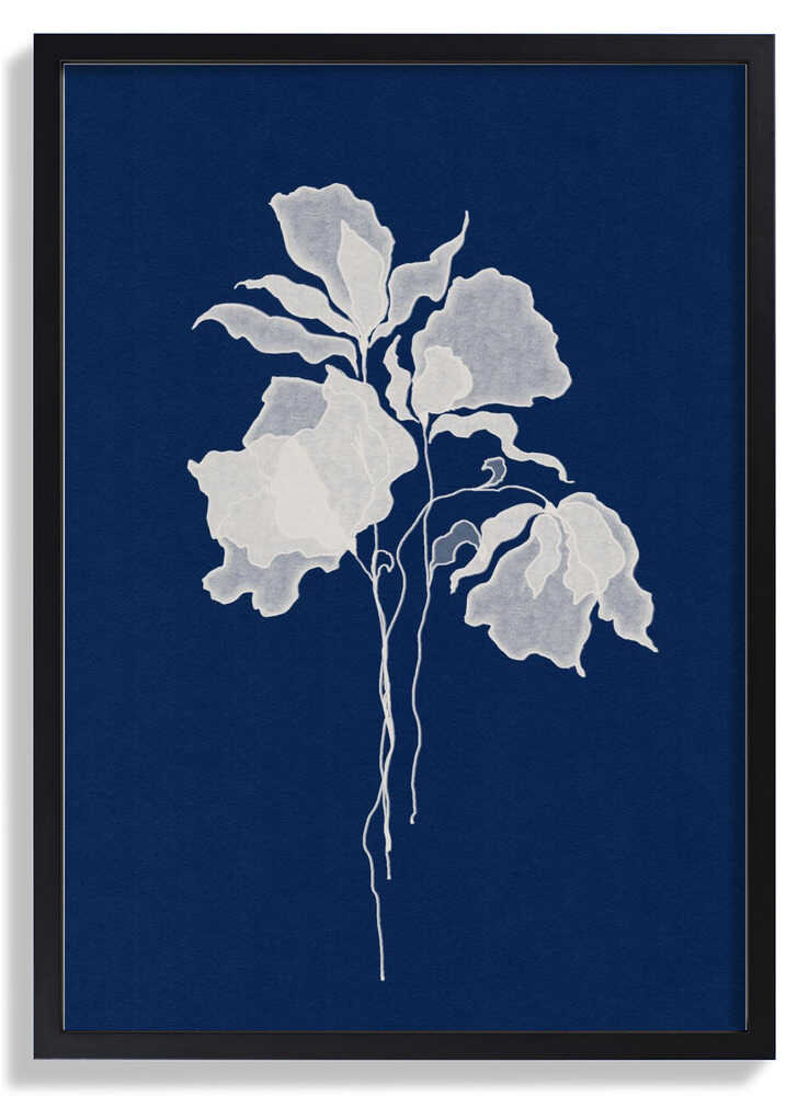 Delicate White Flower by Lena Refur