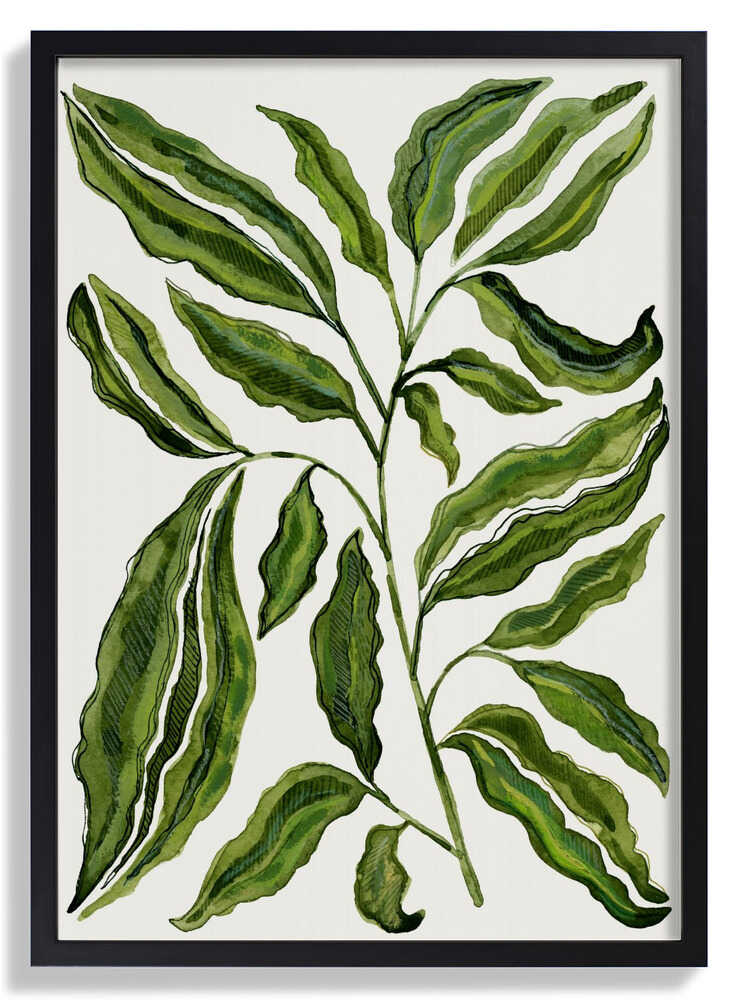 Sprig Of Leaves von Susan Black