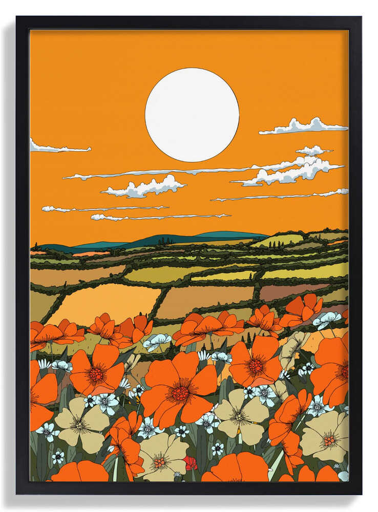 Mohnblick in der Abenddämmerung von Nicholas