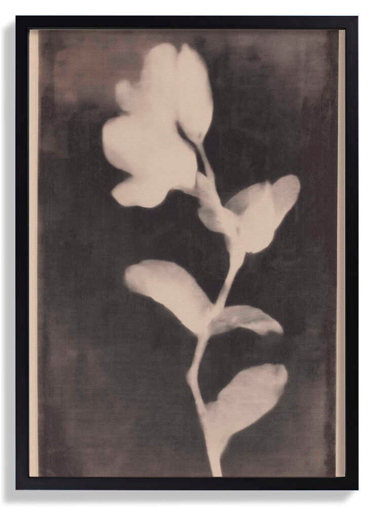 Fadedbloom by Treechild