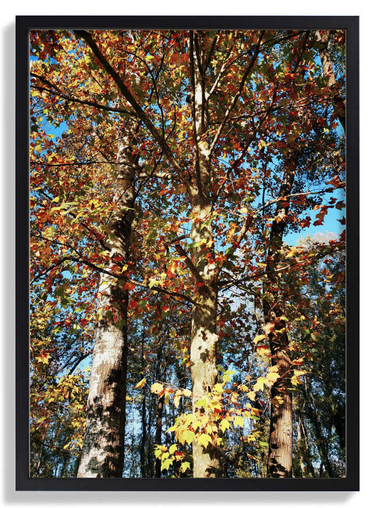 Ready To Fall von Angelo Cerantola