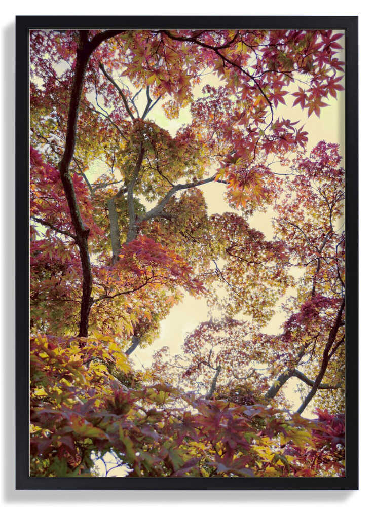 Japanischer Garten von Angelo Cerantola