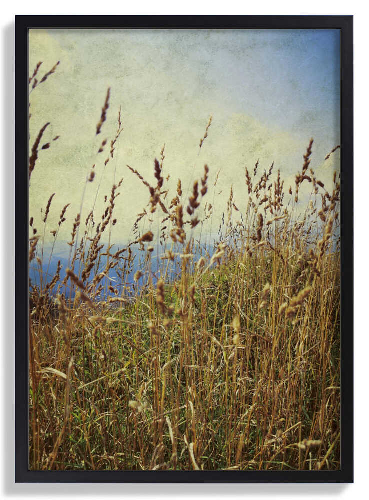 Berggras von Angelo Cerantola