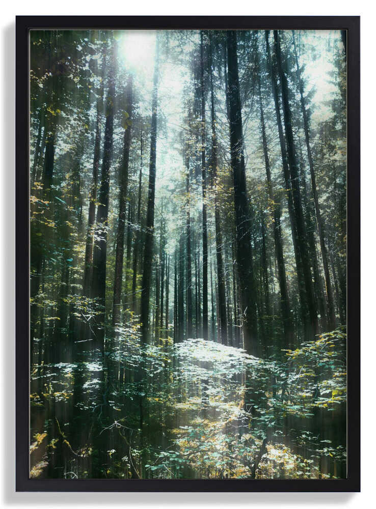 Stille von Angelo Cerantola