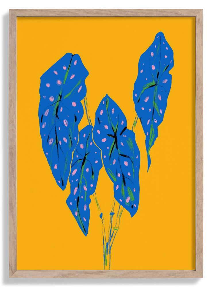 Begonia Maculata Blau und Gelb von Francesco Gulina