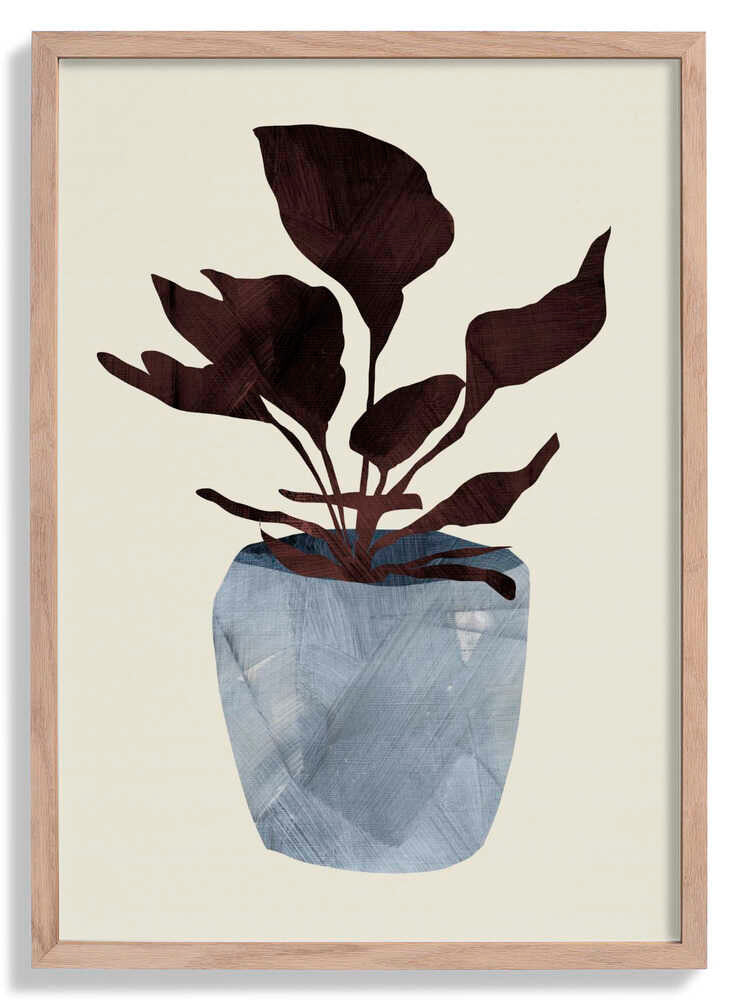 Country Plant by Dan Hobday