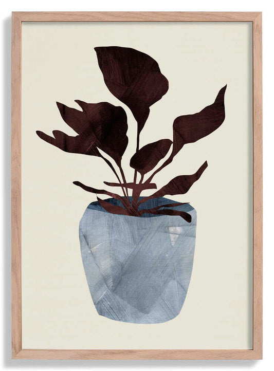 Country Plant by Dan Hobday