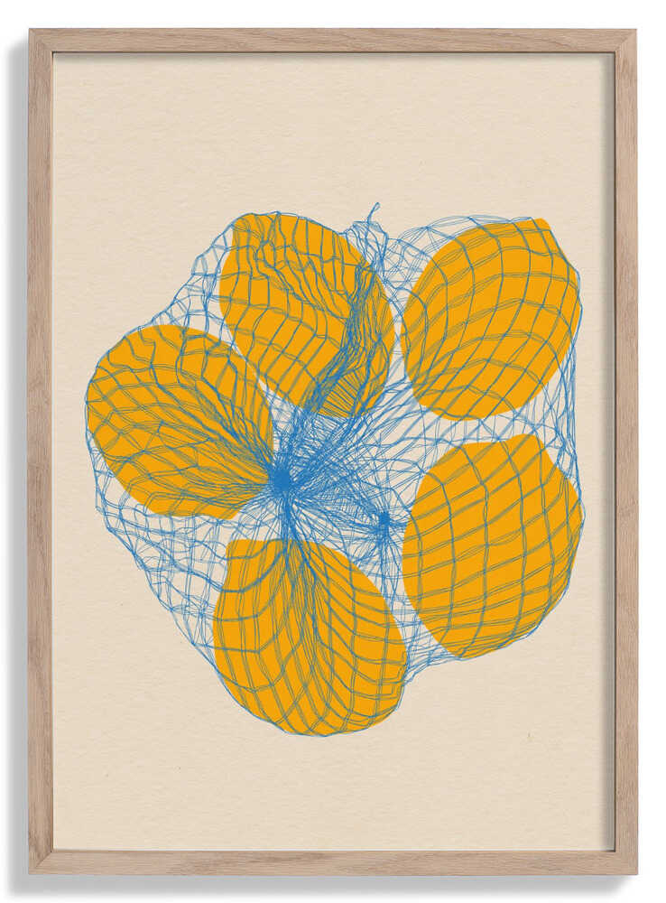 Five Lemons In a Net Bag by Rosi Feist