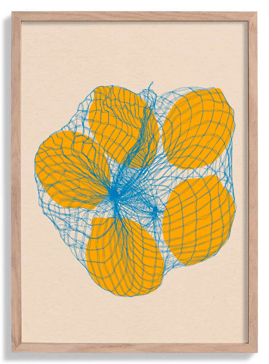 Five Lemons In a Net Bag by Rosi Feist