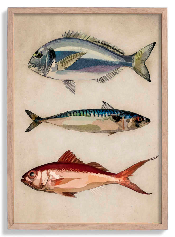 Trio of Ocean Life by Emel Tunaboylu