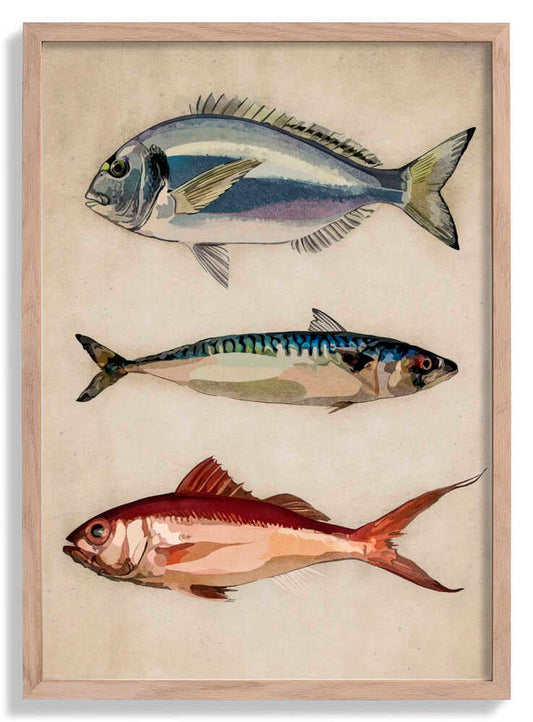 Trio of Ocean Life by Emel Tunaboylu