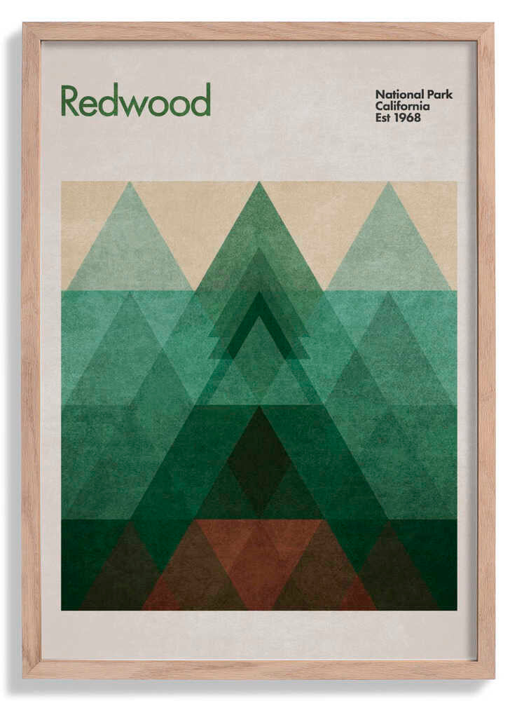 Triangular Redwood by Emel Tunaboylu