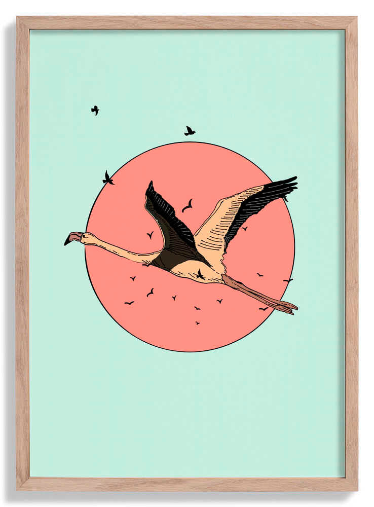 Flamingo In Flight by Nicholas